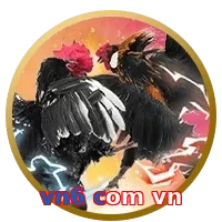 vn6 com vn